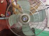 Original Pakistani GFC Stand Fan 24